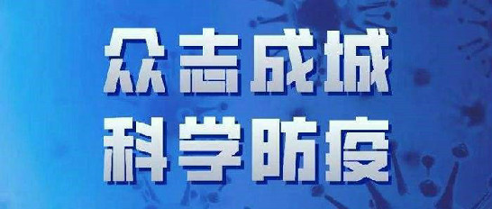 中经国际招标集团有限公司疫情期间工作报告